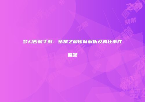 梦幻西游手游：紫禁之巅团队解析及疯狂事件回顾