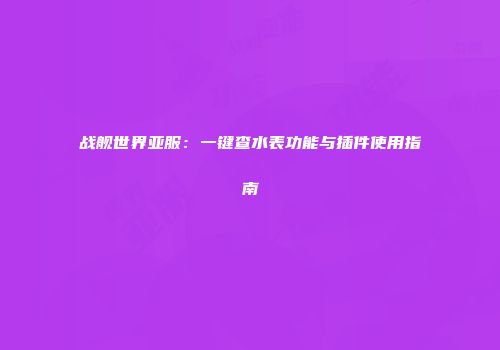 战舰世界亚服：一键查水表功能与插件使用指南