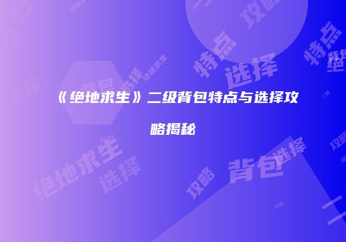 《绝地求生》二级背包特点与选择攻略揭秘