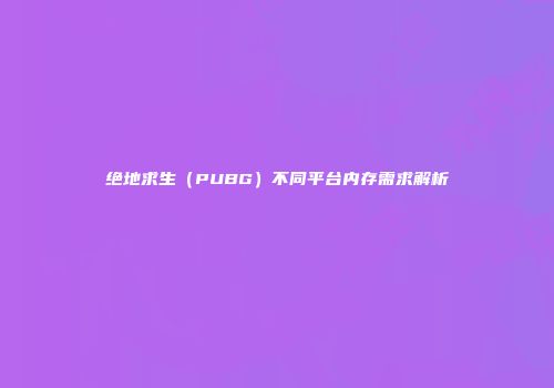 绝地求生（PUBG）不同平台内存需求解析