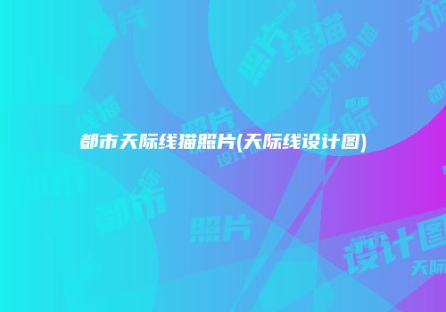 都市天际线猫照片(天际线设计图)