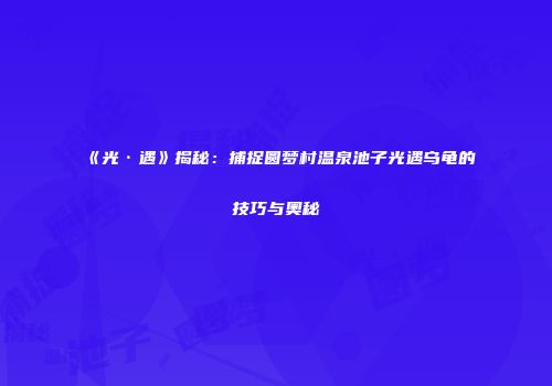 《光·遇》揭秘：捕捉圆梦村温泉池子光遇乌龟的技巧与奥秘