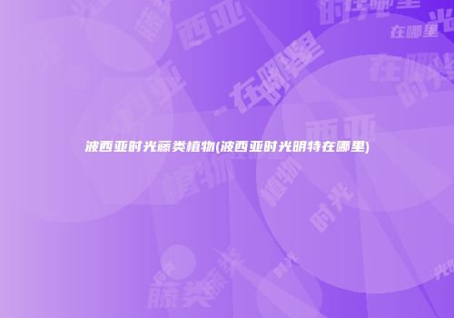 波西亚时光藤类植物(波西亚时光明特在哪里)