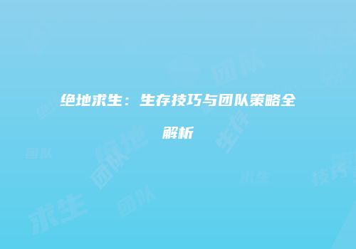绝地求生：生存技巧与团队策略全解析