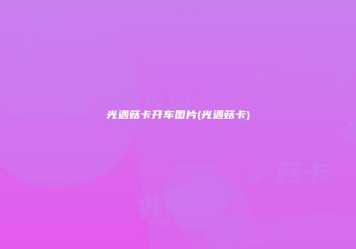 光遇菇卡开车图片(光遇菇卡)