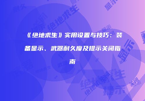 《绝地求生》实用设置与技巧：装备显示、武器耐久度及提示关闭指南