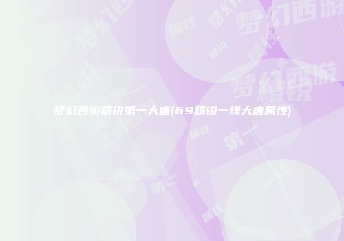 梦幻西游精锐第一大唐(69精锐一线大唐属性)