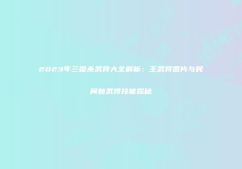 2023年三国杀武将大全解析：王武将图片与民间新武将技能揭秘