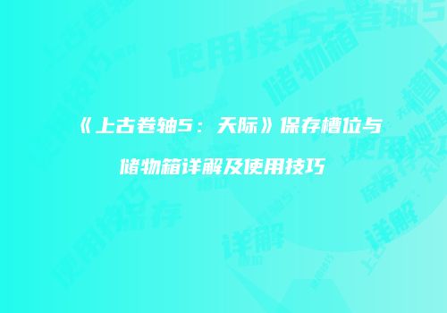 《上古卷轴5：天际》保存槽位与储物箱详解及使用技巧