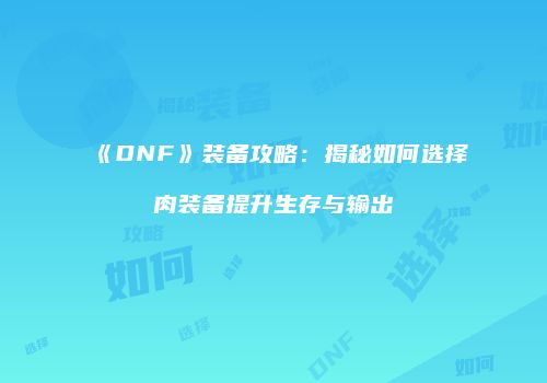 《DNF》装备攻略：揭秘如何选择肉装备提升生存与输出