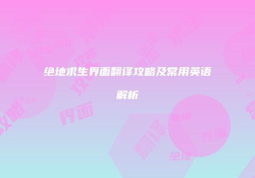 绝地求生界面翻译攻略及常用英语解析