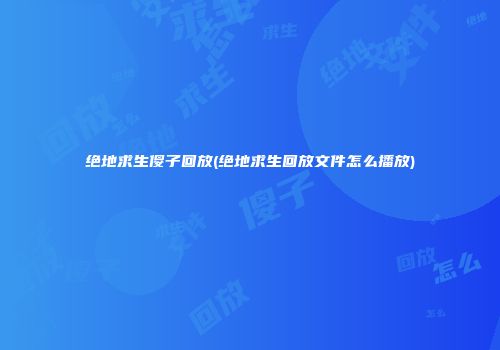 绝地求生傻子回放(绝地求生回放文件怎么播放)