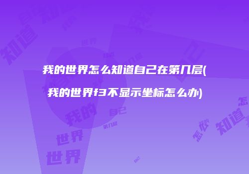 我的世界怎么知道自己在第几层(我的世界f3不显示坐标怎么办)