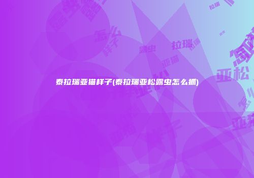 泰拉瑞亚猫样子(泰拉瑞亚松露虫怎么抓)