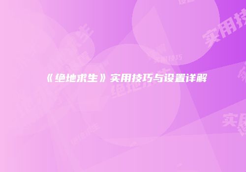 《绝地求生》实用技巧与设置详解