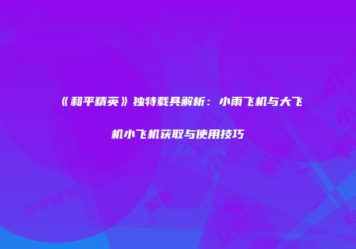 《和平精英》独特载具解析：小雨飞机与大飞机小飞机获取与使用技巧