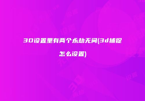 3D设置里有两个永劫无间(3d捕捉怎么设置)