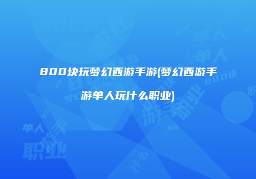 800块玩梦幻西游手游(梦幻西游手游单人玩什么职业)
