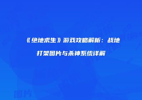 《绝地求生》游戏攻略解析：战地打架图片与杀神系统详解