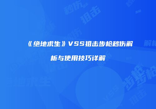 《绝地求生》VSS狙击步枪秒伤解析与使用技巧详解