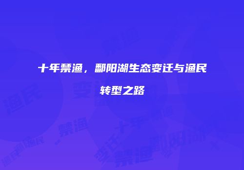 十年禁渔，鄱阳湖生态变迁与渔民转型之路