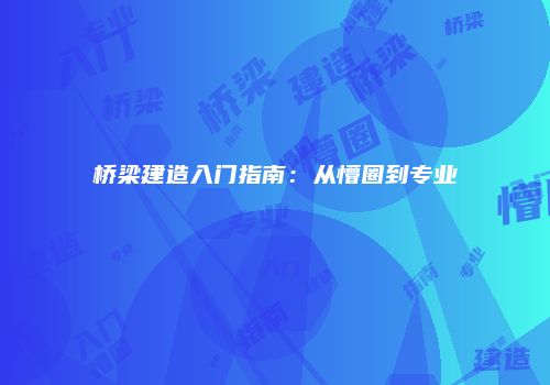 桥梁建造入门指南：从懵圈到专业