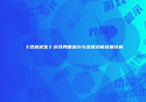 《绝地求生》游戏界面显示与录像功能设置详解