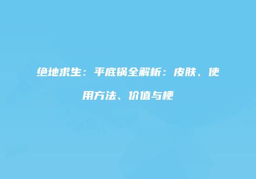 绝地求生：平底锅全解析：皮肤、使用方法、价值与梗