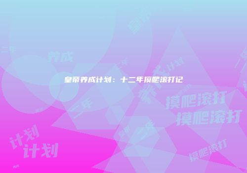 皇帝养成计划：十二年摸爬滚打记