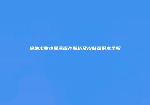 绝地求生小黑盒库存解析及皮肤知识点全解