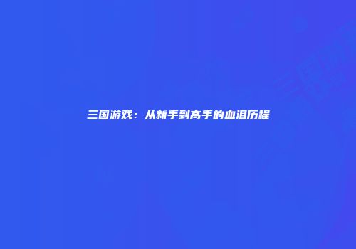 三国游戏：从新手到高手的血泪历程