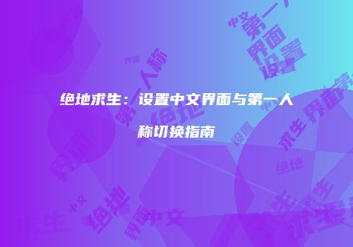 绝地求生：设置中文界面与第一人称切换指南