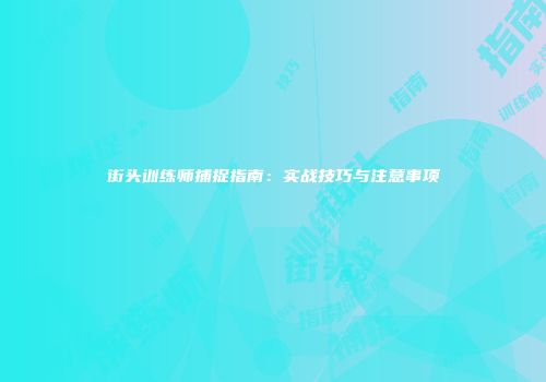街头训练师捕捉指南：实战技巧与注意事项