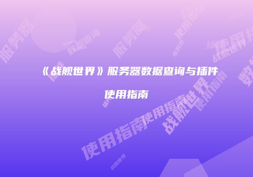 《战舰世界》服务器数据查询与插件使用指南