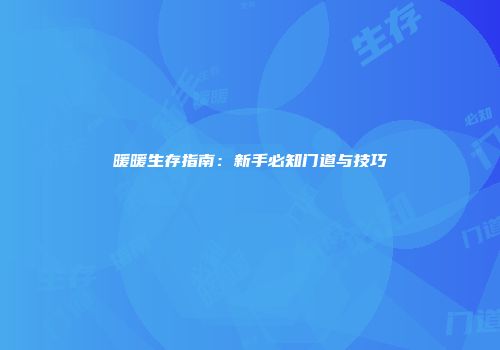暖暖生存指南：新手必知门道与技巧