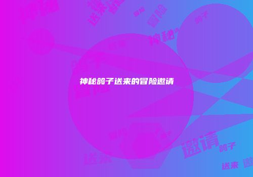 神秘鸽子送来的冒险邀请
