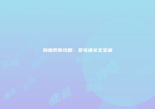 珀加索斯攻略：菜鸟通关全宝藏