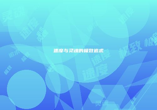 速度与灵魂的极致追求