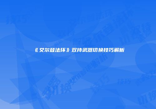 《艾尔登法环》双持武器切换技巧解析