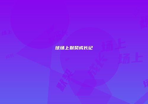球场上默契成长记