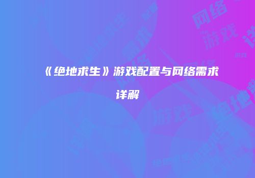 《绝地求生》游戏配置与网络需求详解