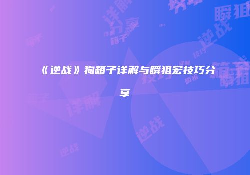 《逆战》狗箱子详解与瞬狙宏技巧分享