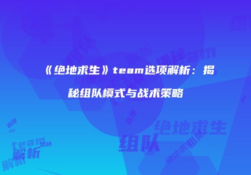 《绝地求生》team选项解析：揭秘组队模式与战术策略
