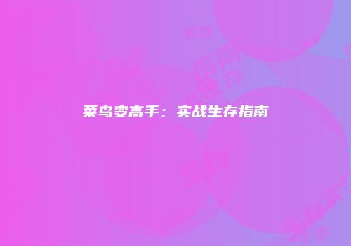 菜鸟变高手：实战生存指南