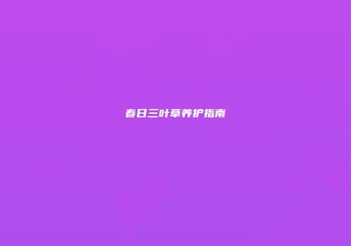 春日三叶草养护指南