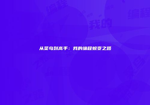 从菜鸟到高手：我的编程蜕变之路