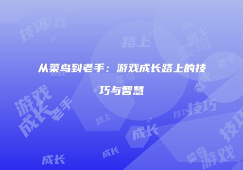 从菜鸟到老手：游戏成长路上的技巧与智慧