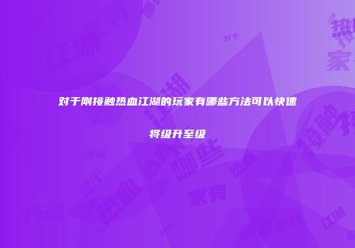 对于刚接触热血江湖的玩家有哪些方法可以快速将级升至级
