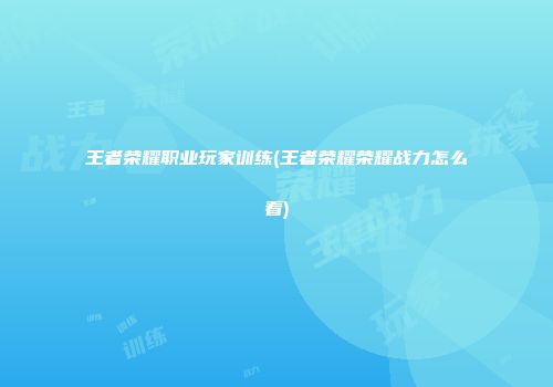王者荣耀职业玩家训练(王者荣耀荣耀战力怎么看)