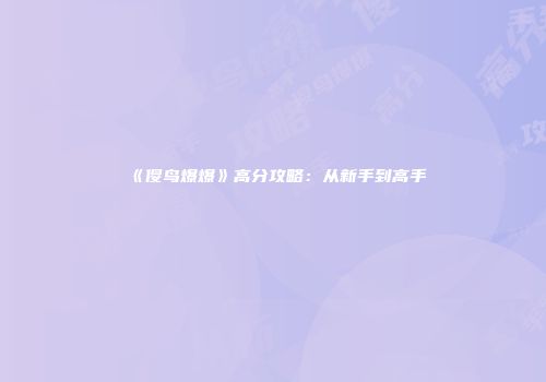 《傻鸟爆爆》高分攻略：从新手到高手